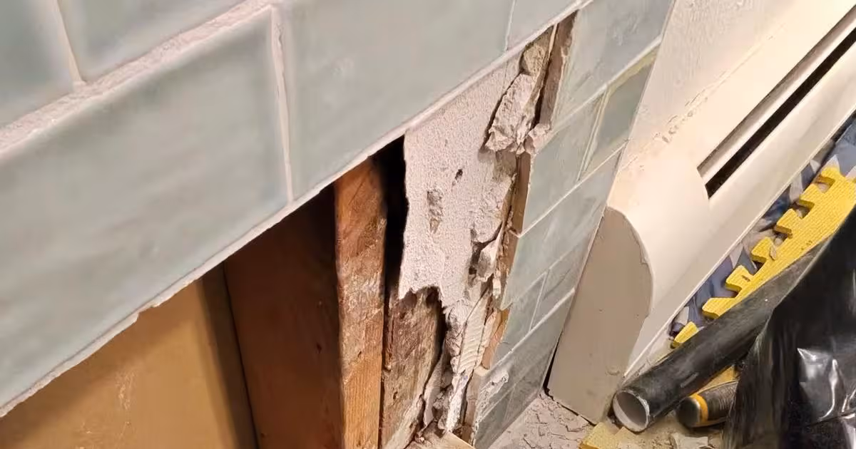 Water-stained curb framing and subfloor exposed after a failed shower pan was removed in a Denver bathroom