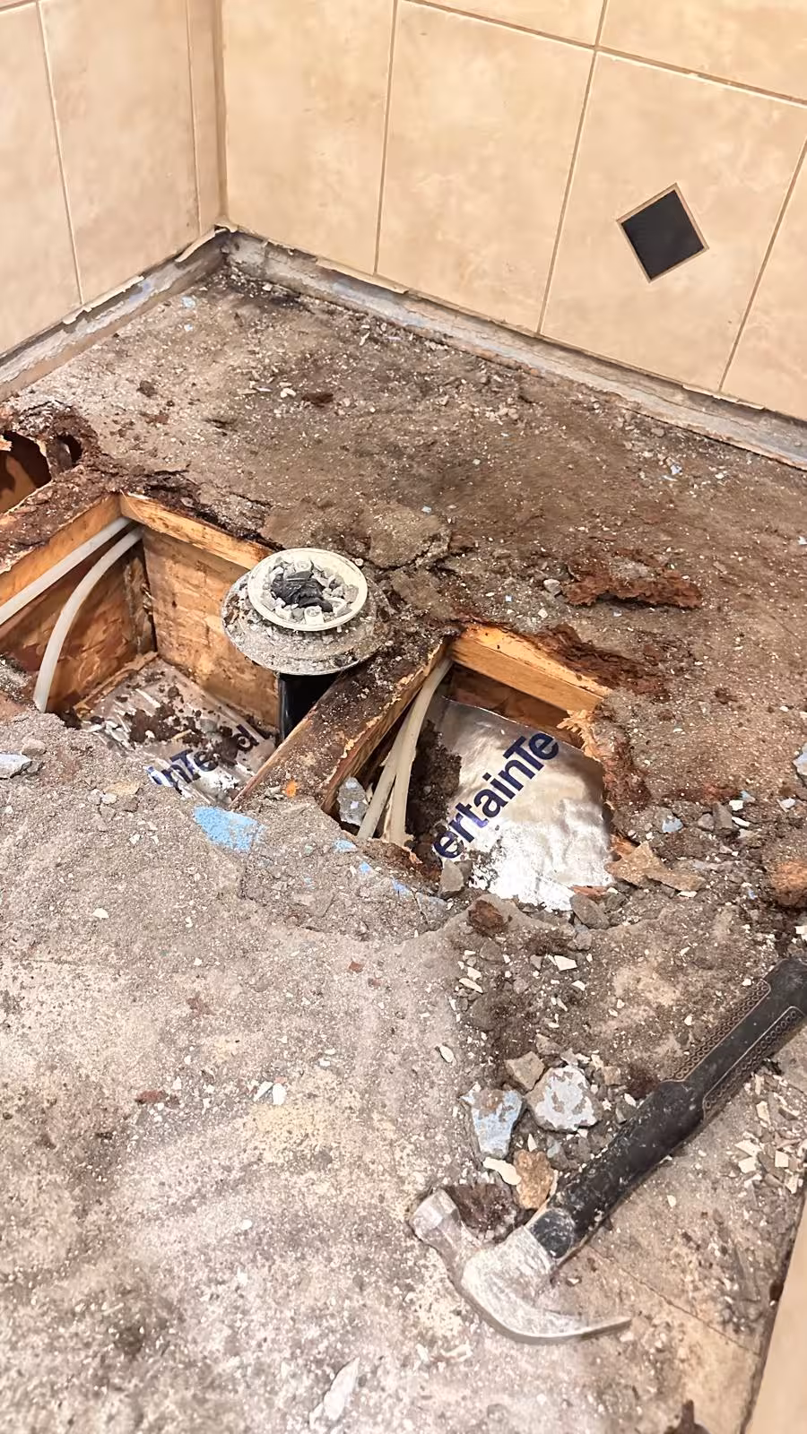 Rotted floor beams and joists from prolonged water exposure requiring structural repair Elizabeth CO